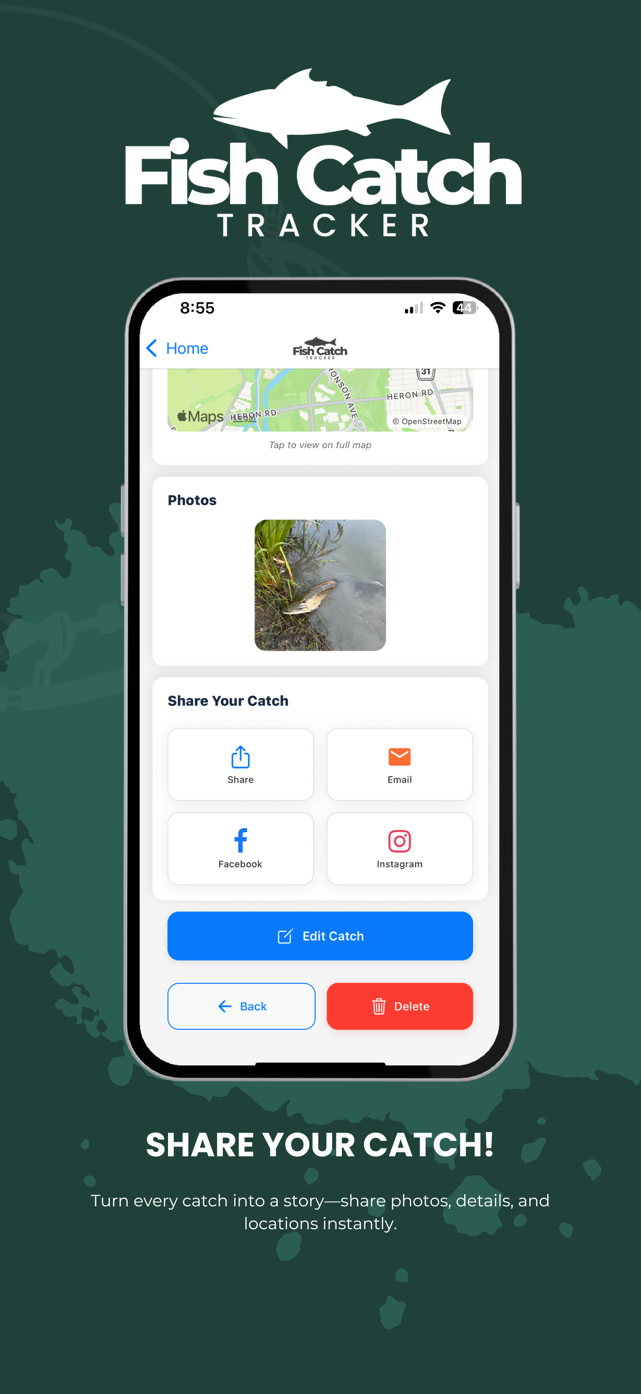 Fish Catch Tracker - Statistics Dashboard